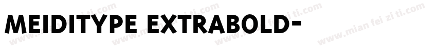 MEIDITYPE EXTRABOLD字体转换